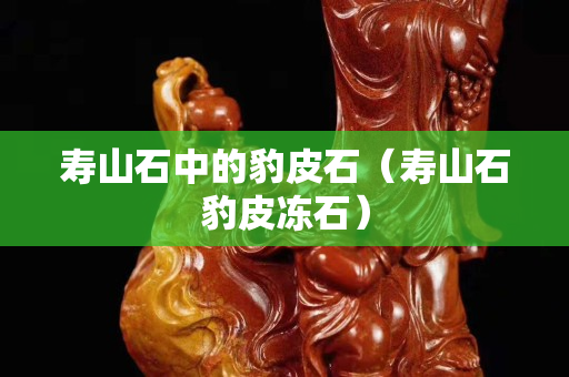 寿山石中的豹皮石（寿山石豹皮冻石）