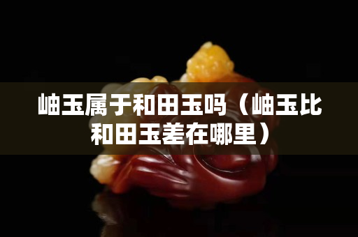 岫玉属于和田玉吗（岫玉比和田玉差在哪里）