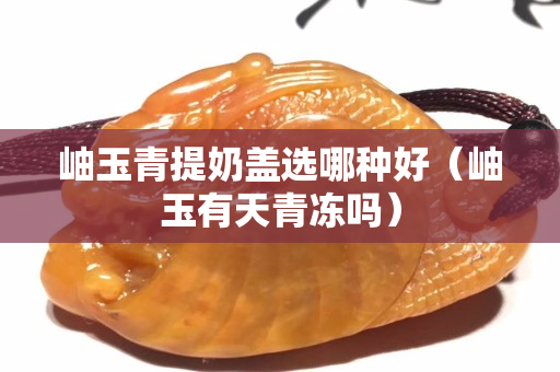 岫玉青提奶盖选哪种好（岫玉有天青冻吗）
