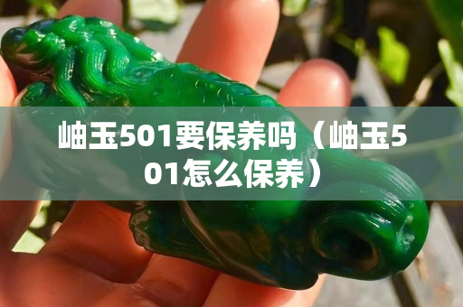 岫玉501要保养吗（岫玉501怎么保养）