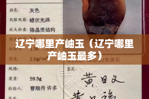辽宁哪里产岫玉（辽宁哪里产岫玉最多）