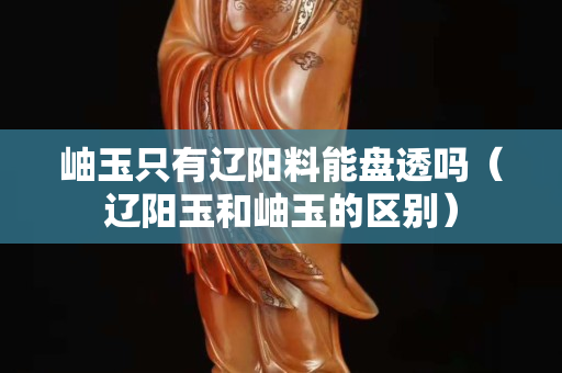 岫玉只有辽阳料能盘透吗（辽阳玉和岫玉的区别）