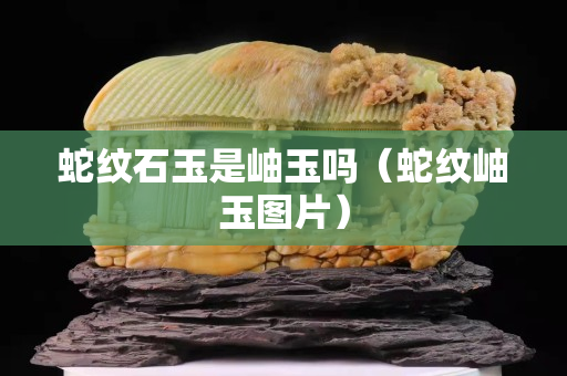 蛇纹石玉是岫玉吗（蛇纹岫玉图片）