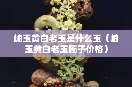 岫玉黄白老玉是什么玉（岫玉黄白老玉镯子价格）