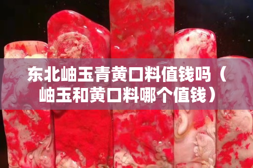 东北岫玉青黄口料值钱吗（岫玉和黄口料哪个值钱）