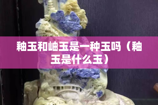 釉玉和岫玉是一种玉吗（釉玉是什么玉）