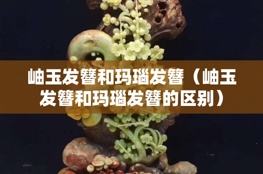 岫玉发簪和玛瑙发簪（岫玉发簪和玛瑙发簪的区别）