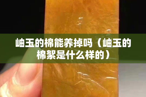 岫玉的棉能养掉吗（岫玉的棉絮是什么样的）