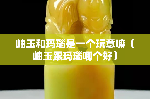 岫玉和玛瑙是一个玩意嘛（岫玉跟玛瑙哪个好）