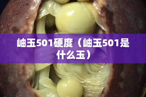 岫玉501硬度（岫玉501是什么玉）