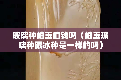 玻璃种岫玉值钱吗（岫玉玻璃种跟冰种是一样的吗）