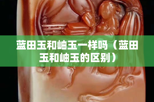 蓝田玉和岫玉一样吗（蓝田玉和岫玉的区别）