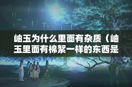 岫玉为什么里面有杂质（岫玉里面有棉絮一样的东西是好玉吗）