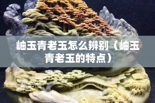 岫玉青老玉怎么辨别（岫玉青老玉的特点）