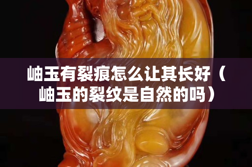 岫玉有裂痕怎么让其长好（岫玉的裂纹是自然的吗）