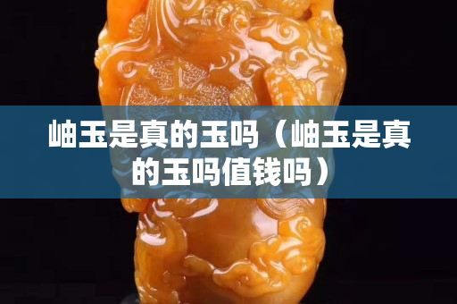 岫玉是真的玉吗（岫玉是真的玉吗值钱吗）