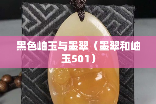 黑色岫玉与墨翠（墨翠和岫玉501）