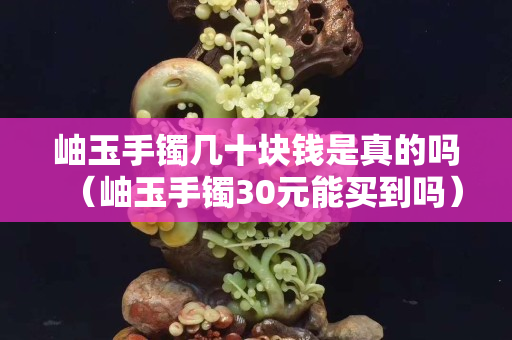 岫玉手镯几十块钱是真的吗（岫玉手镯30元能买到吗）