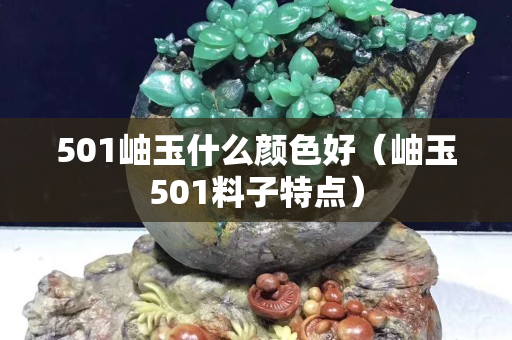 501岫玉什么颜色好（岫玉501料子特点）