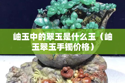 岫玉中的翠玉是什么玉（岫玉翠玉手镯价格）
