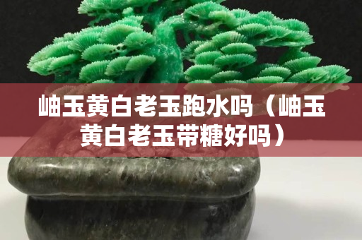 岫玉黄白老玉跑水吗（岫玉黄白老玉带糖好吗）
