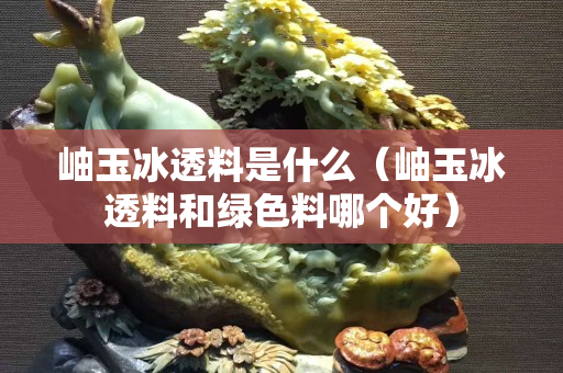 岫玉冰透料是什么（岫玉冰透料和绿色料哪个好）