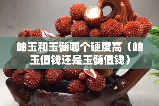岫玉和玉髓哪个硬度高（岫玉值钱还是玉髓值钱）