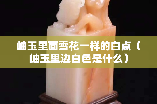 岫玉里面雪花一样的白点（岫玉里边白色是什么）