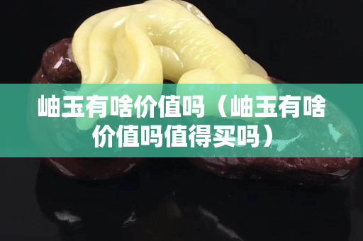 岫玉有啥价值吗（岫玉有啥价值吗值得买吗）
