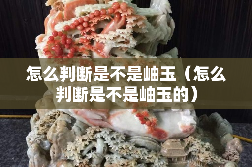 怎么判断是不是岫玉（怎么判断是不是岫玉的）