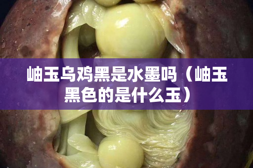 岫玉乌鸡黑是水墨吗（岫玉黑色的是什么玉）