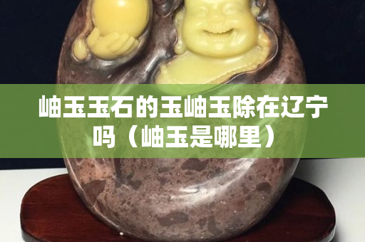 岫玉玉石的玉岫玉除在辽宁吗（岫玉是哪里）