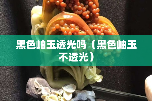 黑色岫玉透光吗（黑色岫玉不透光）