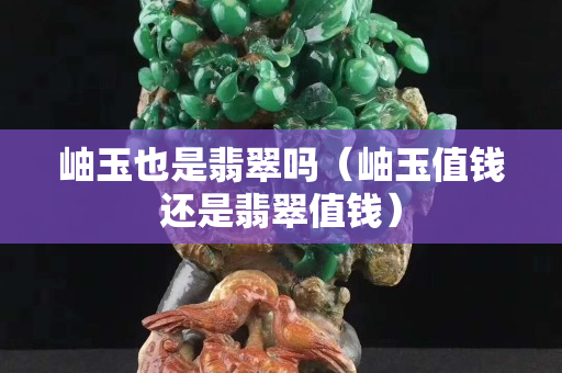 岫玉也是翡翠吗（岫玉值钱还是翡翠值钱）