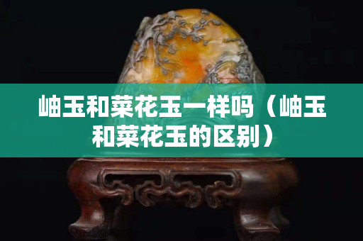 岫玉和菜花玉一样吗（岫玉和菜花玉的区别）