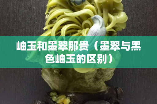 岫玉和墨翠那贵（墨翠与黑色岫玉的区别）