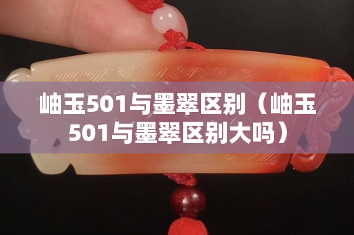 岫玉501与墨翠区别（岫玉501与墨翠区别大吗）
