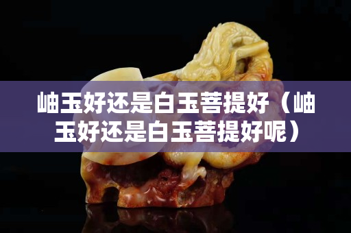 岫玉好还是白玉菩提好（岫玉好还是白玉菩提好呢）