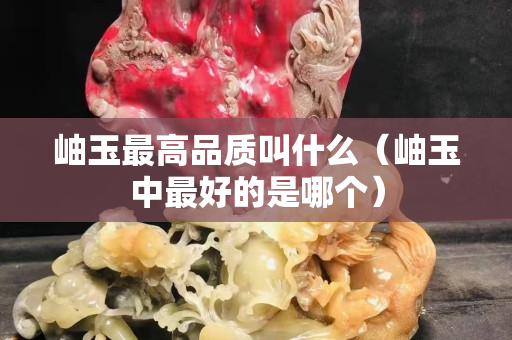 岫玉最高品质叫什么（岫玉中最好的是哪个）