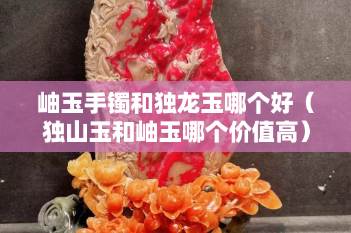 岫玉手镯和独龙玉哪个好（独山玉和岫玉哪个价值高）