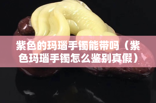 紫色的玛瑙手镯能带吗（紫色玛瑙手镯怎么鉴别真假）