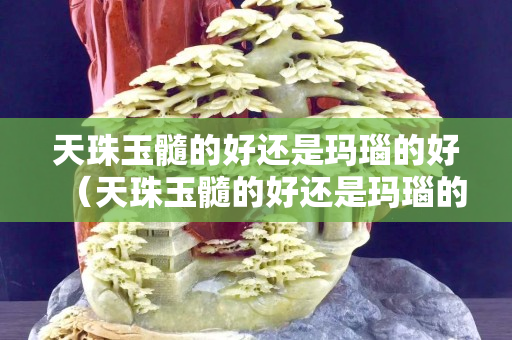 天珠玉髓的好还是玛瑙的好（天珠玉髓的好还是玛瑙的好一些）