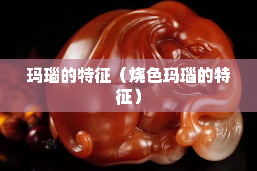 玛瑙的特征（烧色玛瑙的特征）
