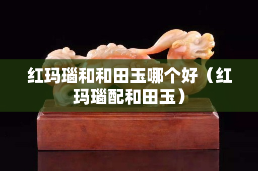 红玛瑙和和田玉哪个好（红玛瑙配和田玉）