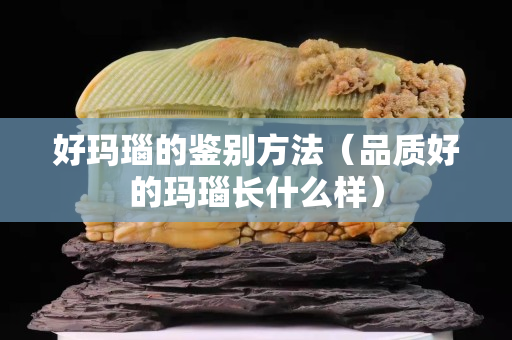 好玛瑙的鉴别方法（品质好的玛瑙长什么样）