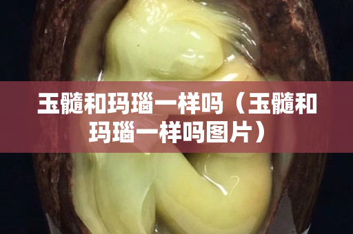 玉髓和玛瑙一样吗（玉髓和玛瑙一样吗图片）