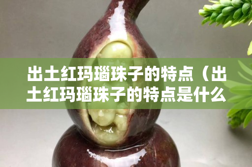 出土红玛瑙珠子的特点（出土红玛瑙珠子的特点是什么）