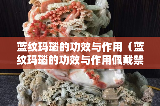 蓝纹玛瑙的功效与作用（蓝纹玛瑙的功效与作用佩戴禁忌）