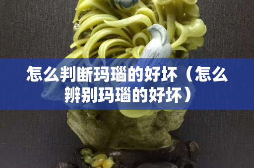 怎么判断玛瑙的好坏（怎么辨别玛瑙的好坏）