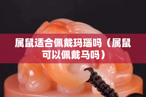 属鼠适合佩戴玛瑙吗（属鼠可以佩戴马吗）